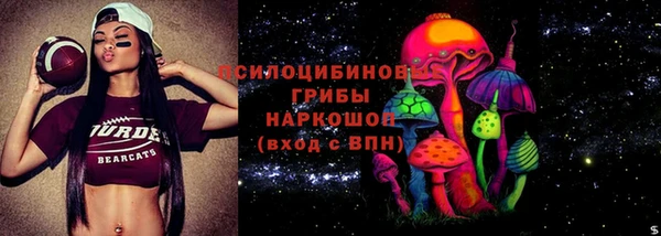 spice Абаза