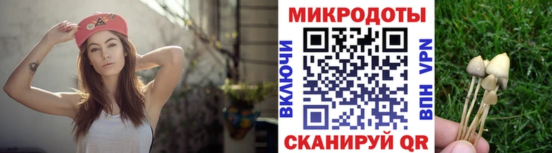 Галлюциногенные грибы мухоморы  купить наркоту  Зея 